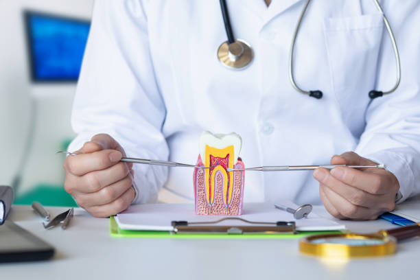 Best Emergency Root Canal Treatment in Ellport, PA